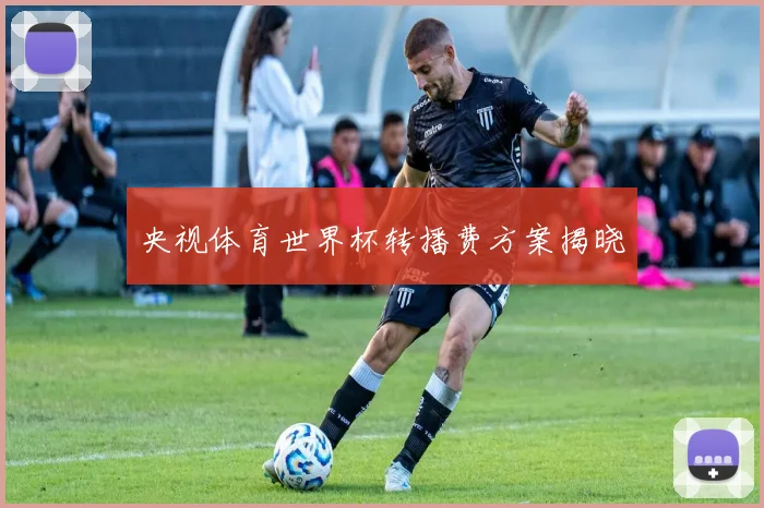 央视体育世界杯转播费方案揭晓
