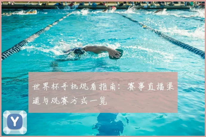 世界杯手机观看指南:赛事直播渠道与观赛方式一览
