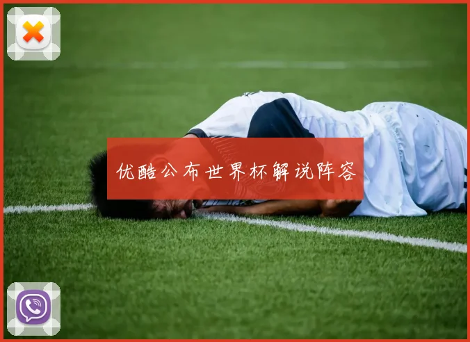 优酷公布世界杯解说阵容