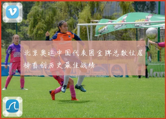 北京奥运中国代表团金牌总数位居榜首创历史最佳战绩