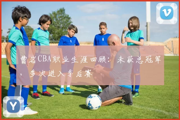 曹岩CBA职业生涯回顾:未获总冠军,多次进入季后赛