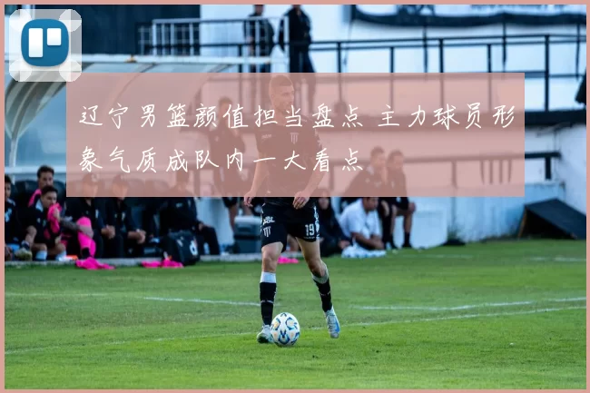 辽宁男篮颜值担当盘点 主力球员形象气质成队内一大看点