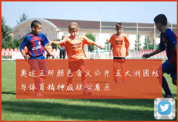 奥运五环颜色含义公开 五大洲团结与体育精神成核心看点