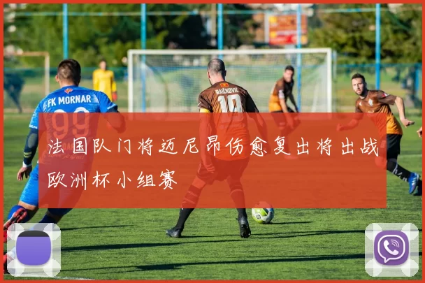 法国队门将迈尼昂伤愈复出将出战欧洲杯小组赛