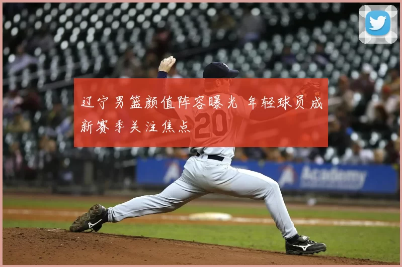 辽宁男篮颜值阵容曝光 年轻球员成新赛季关注焦点