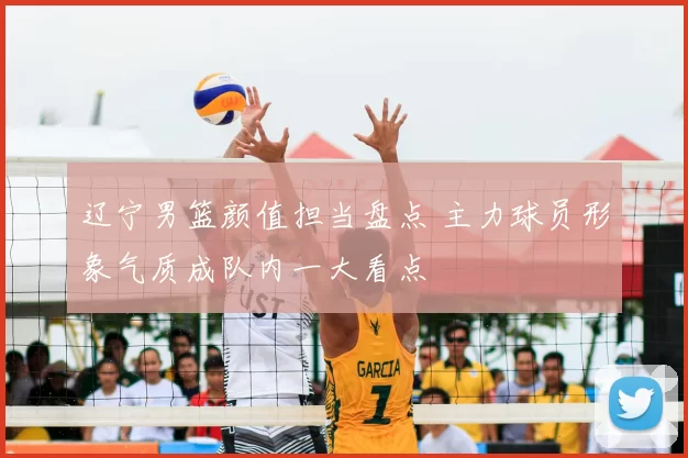 辽宁男篮颜值担当盘点 主力球员形象气质成队内一大看点