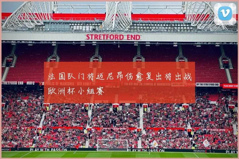 法国队门将迈尼昂伤愈复出将出战欧洲杯小组赛